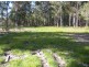 395 Swan Bay Road, Swan Bay NSW 2324