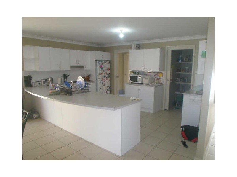 241 Adelaide Street, Raymond Terrace NSW 2324