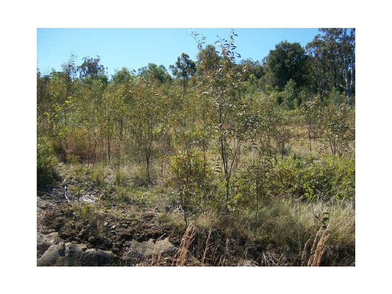 1B Giles Road, Seaham NSW 2324