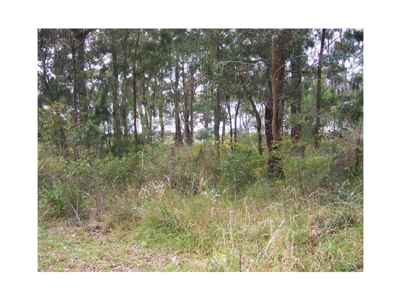 Lot 1, 78 Eastslope Way, North Arm Cove NSW 2324