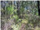Lot 2033 Coonamble Crescent, North Arm Cove NSW 2324