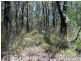 Lot 2033 Coonamble Crescent, North Arm Cove NSW 2324