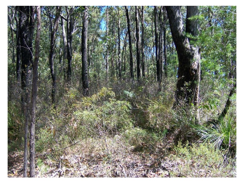 Lot 2033 Coonamble Crescent, North Arm Cove NSW 2324