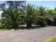 2793 Nelson Bay Road, Salt Ash NSW 2318