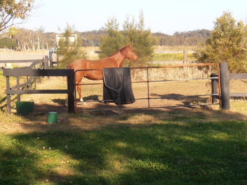 2793 Nelson Bay Road, Salt Ash NSW 2318