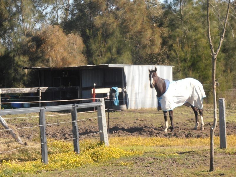 2793 Nelson Bay Road, Salt Ash NSW 2318