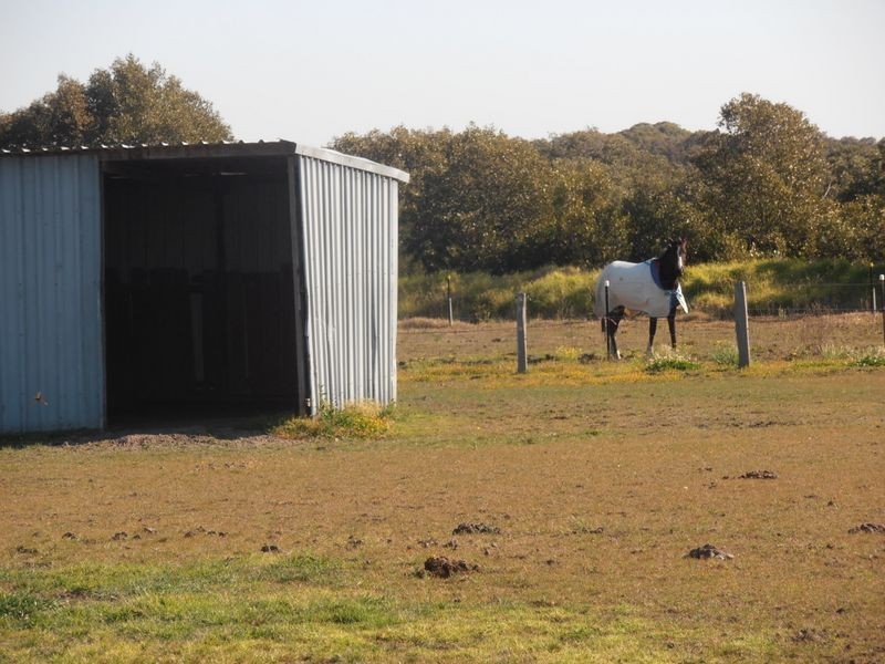 2793 Nelson Bay Road, Salt Ash NSW 2318