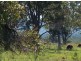 56 Swan Bay Road, Swan Bay NSW 2324