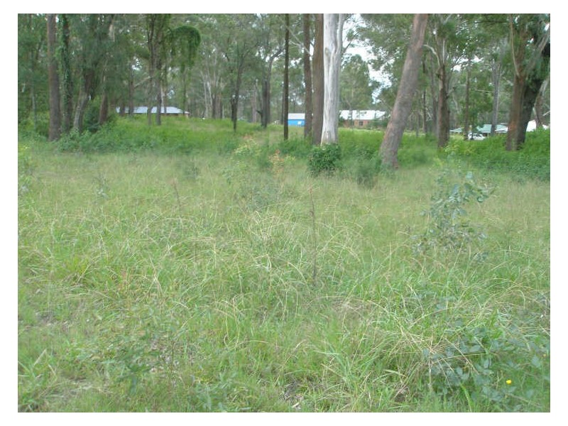 Lot 35 North Esk Drive, Seaham NSW 2324