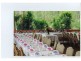 254 Tarean Road,, Karuah NSW 2324