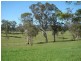 Lot 2 Warren Street, Seaham NSW 2324