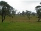 Lot 2 Warren Street, Seaham NSW 2324