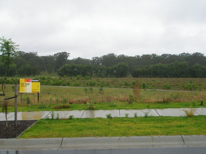 234 233 23 Joseph Sheen Drive, Raymond Terrace NSW 2324