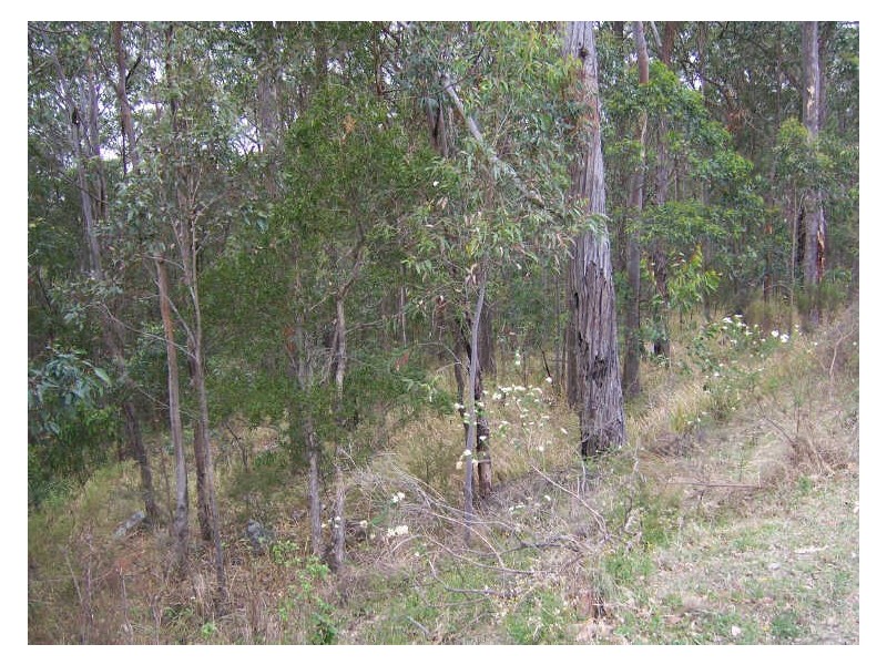Lot 18 DP 1098869 Uffington Road, Berry Park NSW 2321