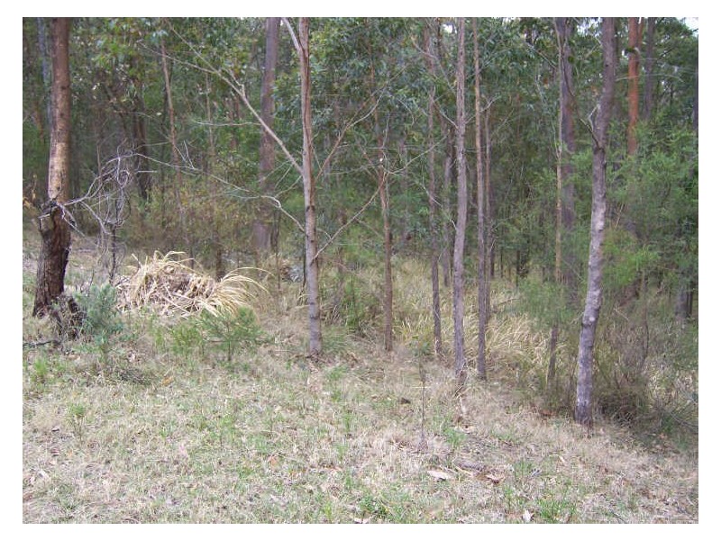 Lot 18 DP 1098869 Uffington Road, Berry Park NSW 2321