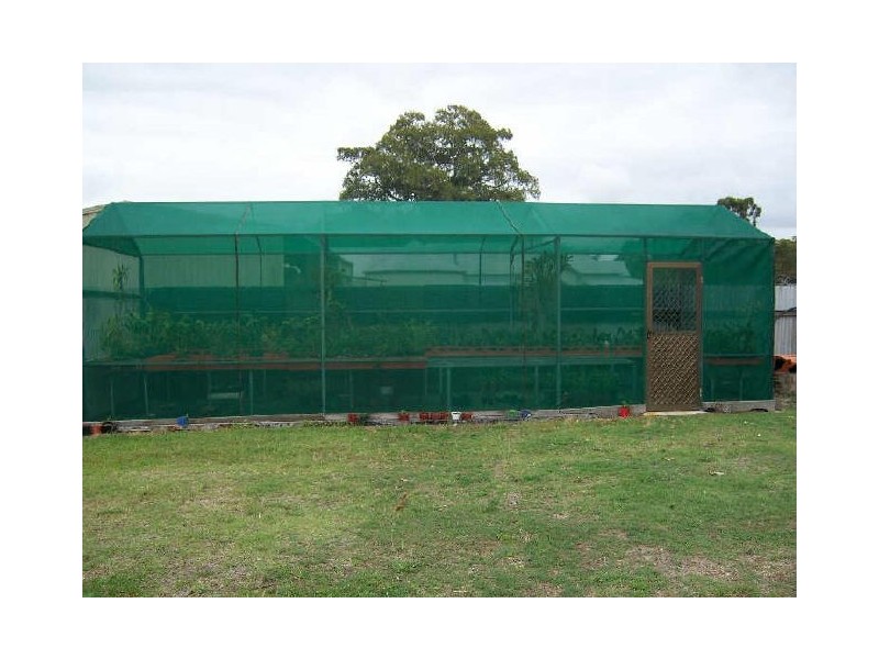 383 Cabbage Tree Road, Williamtown NSW 2318