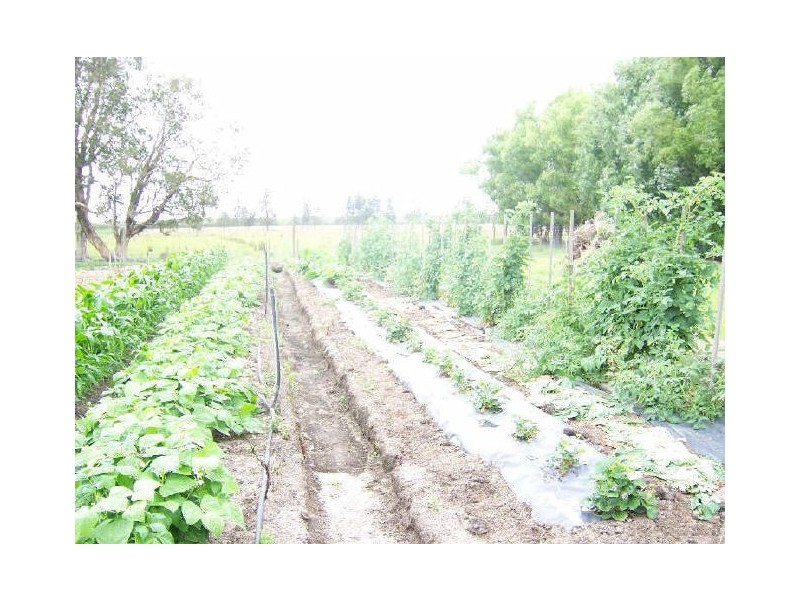 383 Cabbage Tree Road, Williamtown NSW 2318