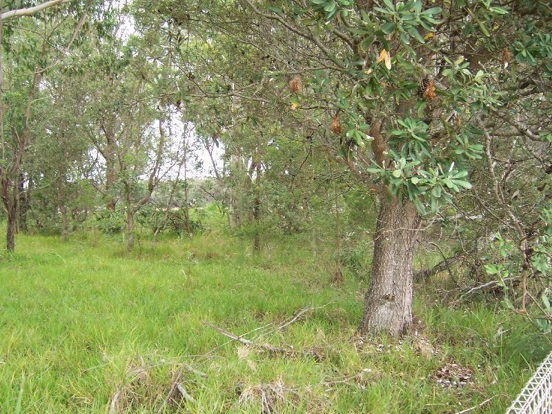 876 Swan Bay Road, Swan Bay NSW 2324