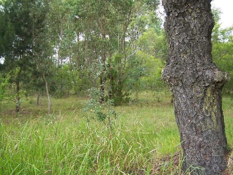 876 Swan Bay Road, Swan Bay NSW 2324