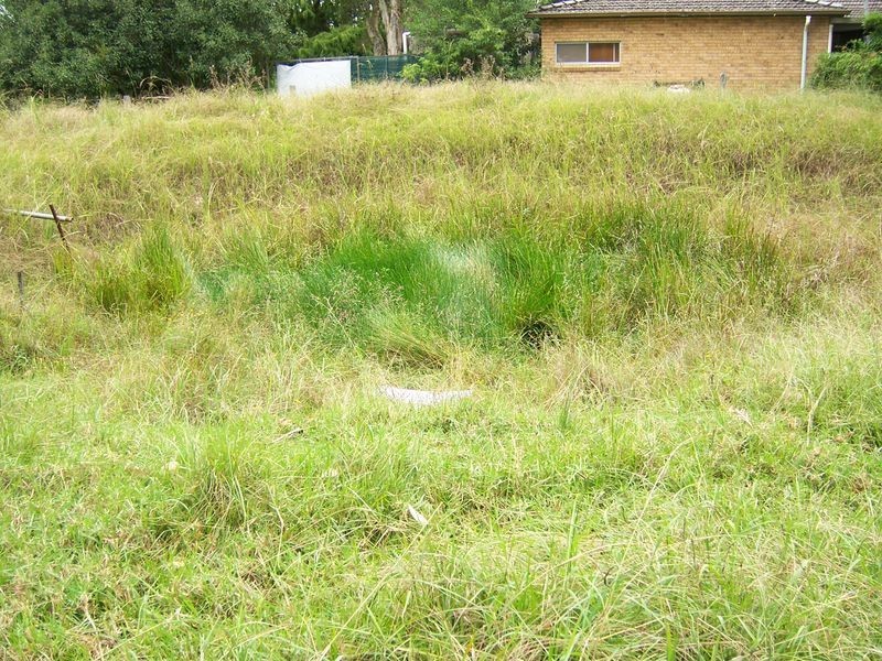 2322 The Bucketts Way, Booral NSW 2425