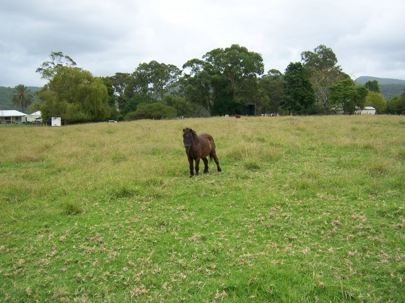 2322 The Bucketts Way, Booral NSW 2425