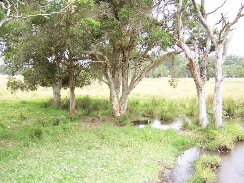 2322 The Bucketts Way, Booral NSW 2425