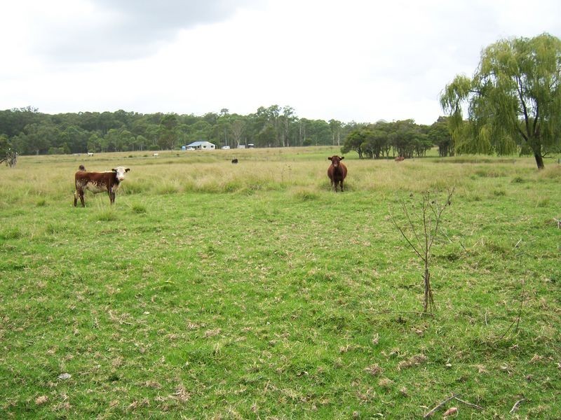 2322 The Bucketts Way, Booral NSW 2425