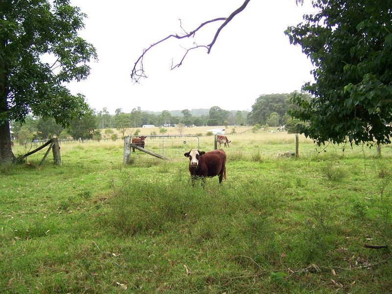 2322 The Bucketts Way, Booral NSW 2425