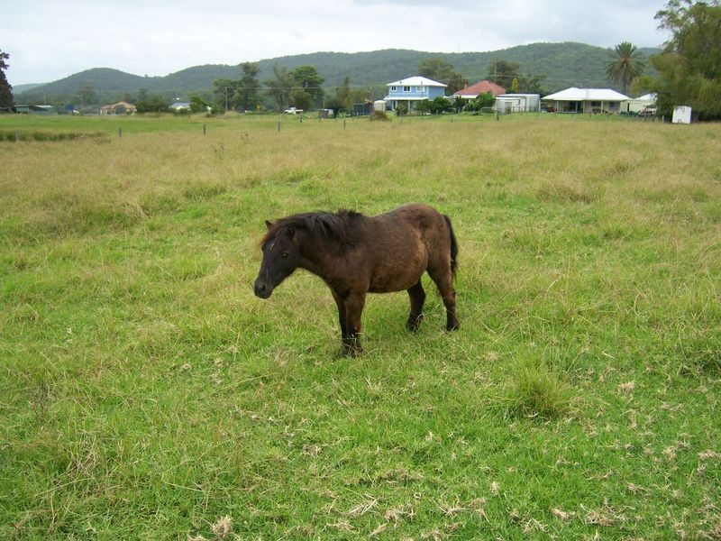 2322 The Bucketts Way, Booral NSW 2425