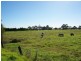 4 Nobles Road, Nelsons Plains NSW 2324