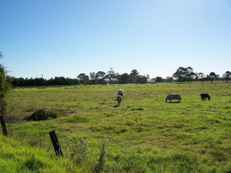 4 Nobles Road, Nelsons Plains NSW 2324