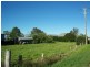 4 Nobles Road, Nelsons Plains NSW 2324