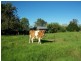 4 Nobles Road, Nelsons Plains NSW 2324