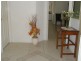69 Mount Hall Road, Raymond Terrace NSW 2324