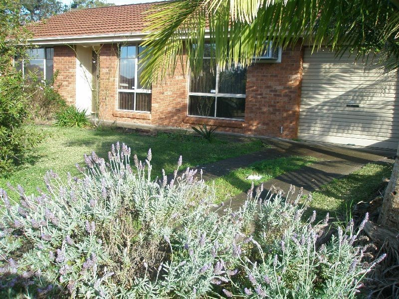 16 Benjamin Lee Drive, Raymond Terrace NSW 2324