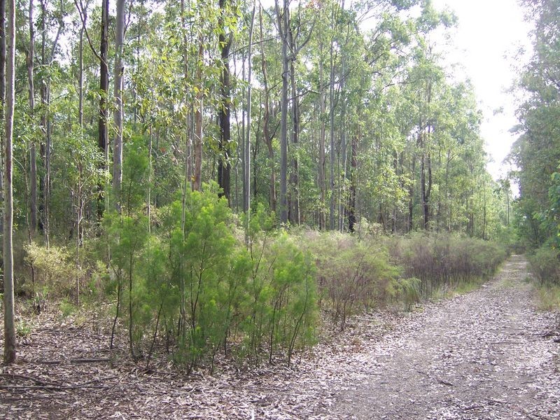4758 Pacific Highway, Karuah NSW 2324