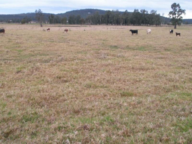 887 Newline Road, Eagleton NSW 2324