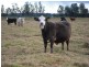 887 Newline Road, Eagleton NSW 2324