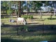 Lot 21 Cook Drive, Swan Bay NSW 2324