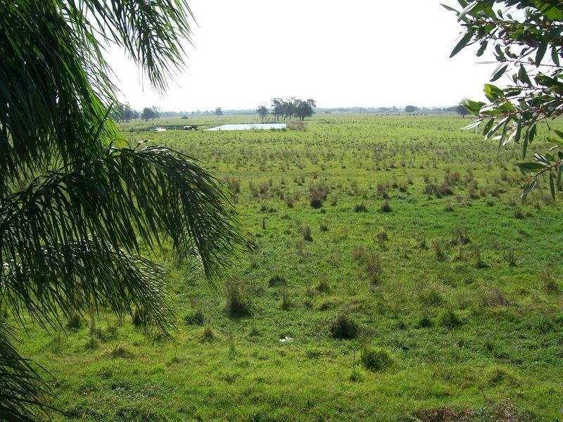 Site 121 Pacific Gardens Mobile Village, Heatherbrae NSW 2324