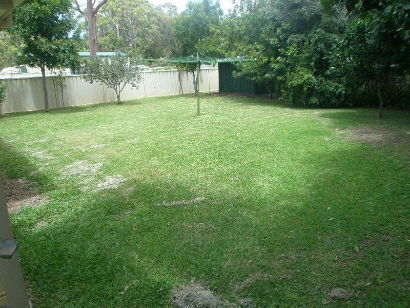 49 Coachwood Drive, Medowie NSW 2318