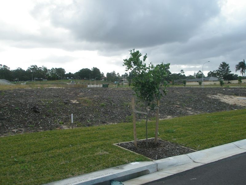 Lot 237 in proposed subdivision of 87 Mt Hall Road, Raymond Terrace NSW 2324