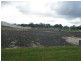 Lot 237 in proposed subdivision of 87 Mt Hall Road, Raymond Terrace NSW 2324