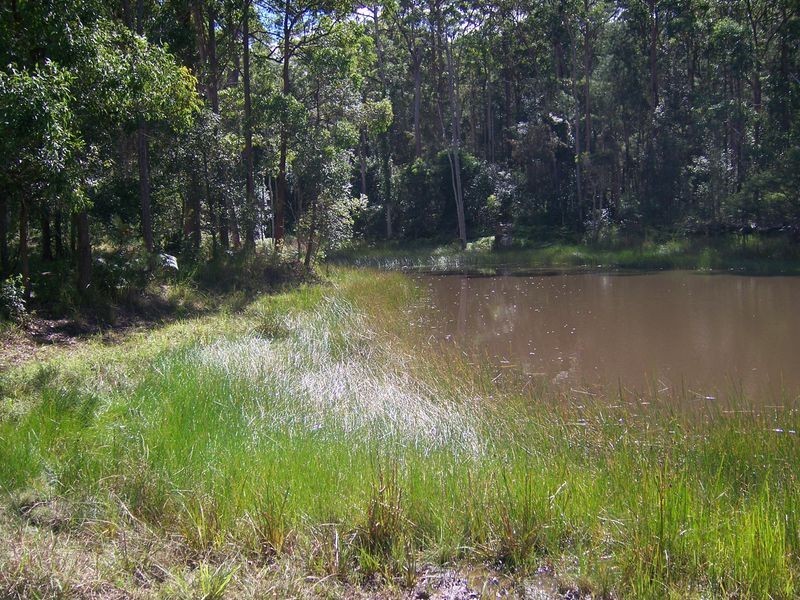Lot 3 Forest Glen Road, Limeburners Creek NSW 2324