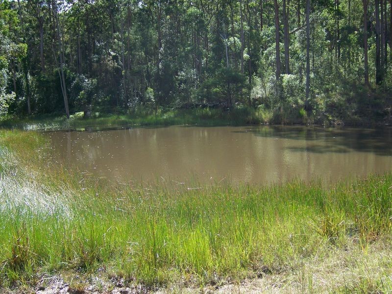 Lot 3 Forest Glen Road, Limeburners Creek NSW 2324