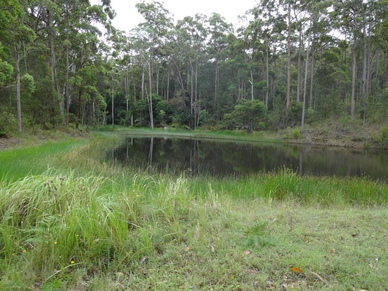 Lot 3 Forest Glen Road, Limeburners Creek NSW 2324