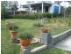 51 Kangaroo Street, Raymond Terrace NSW 2324