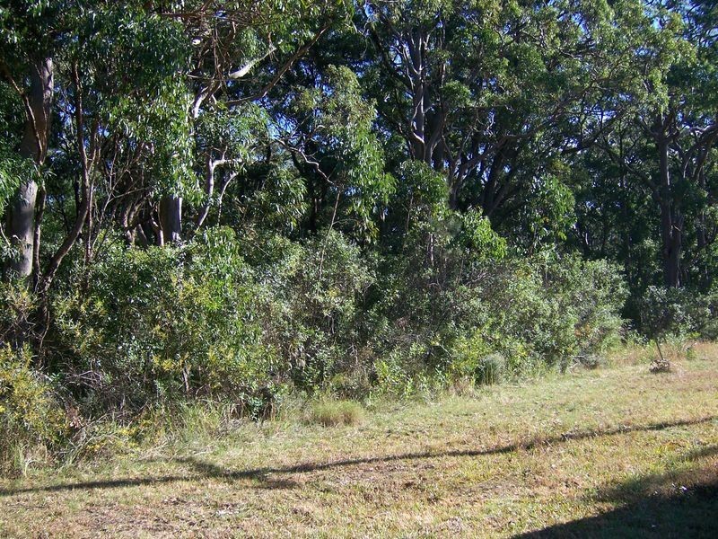 264 Moffats Road, Swan Bay NSW 2324