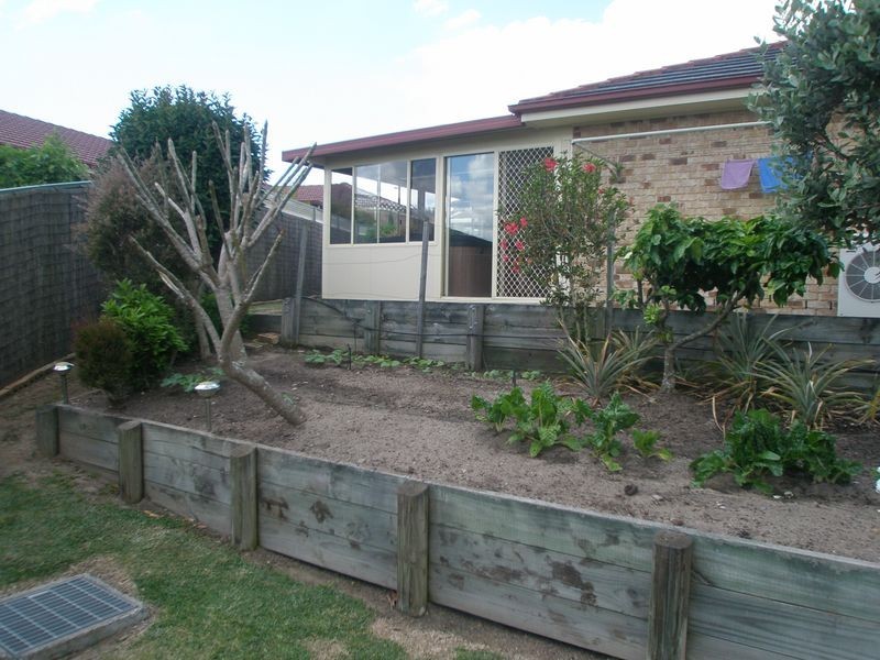 3 Edstein Place, Raymond Terrace NSW 2324