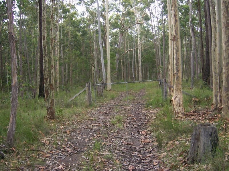 69 The Bucketts Way, Bundabah NSW 2324